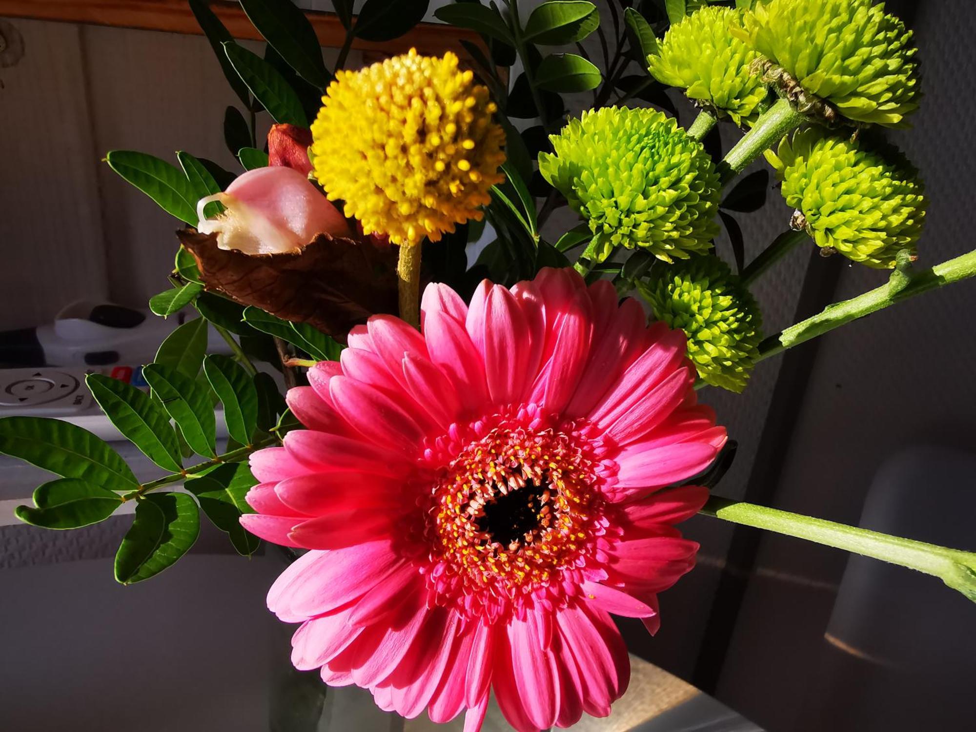 Seerose Boutique-Pension Tating Zimmer foto